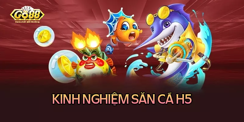 Kinh nghiệm săn cá H5 không bao giờ thua